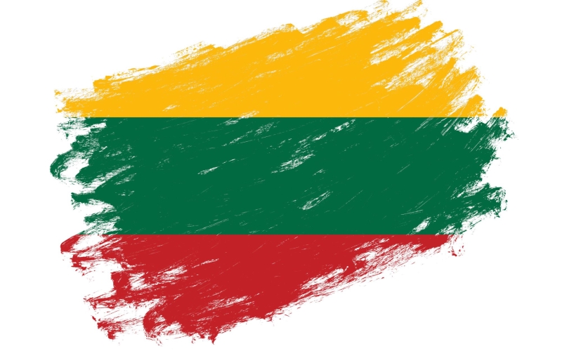 Buy Established Company In Lithuania